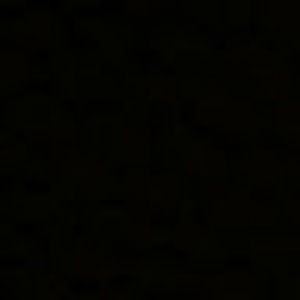 Meet your Posher, Jane